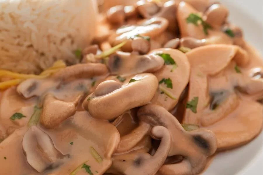 Strogonoff de Cogumelos Vegano